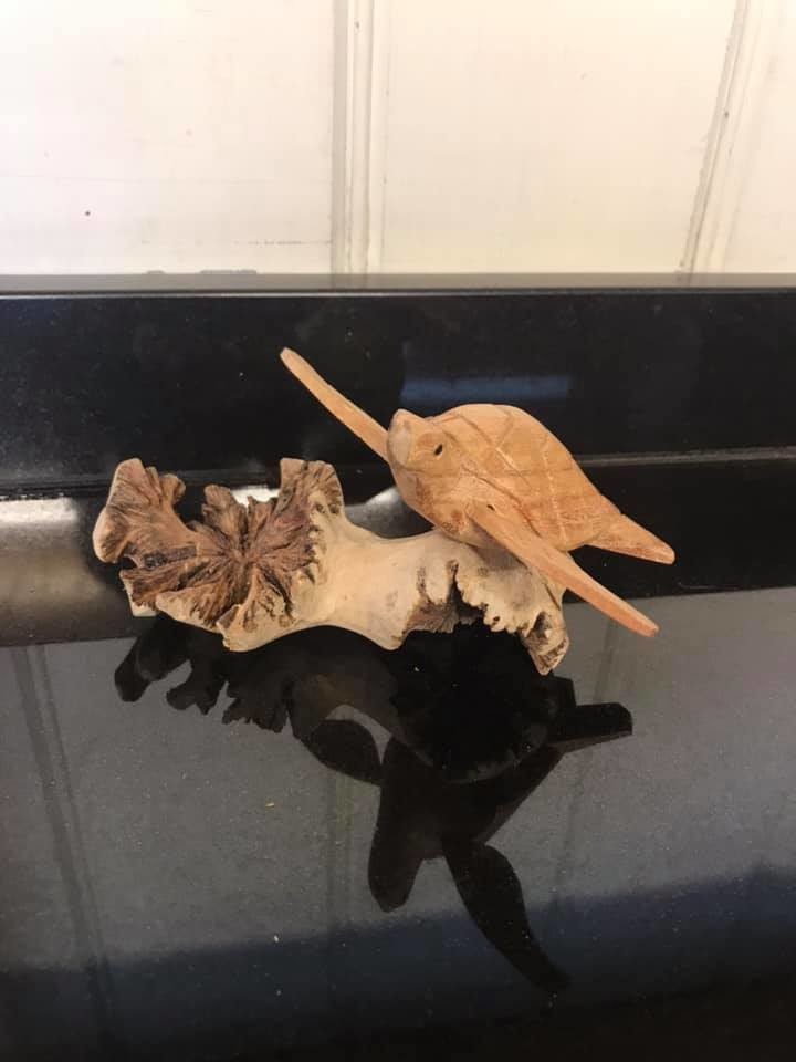 Turtle Carving Turtle Carving