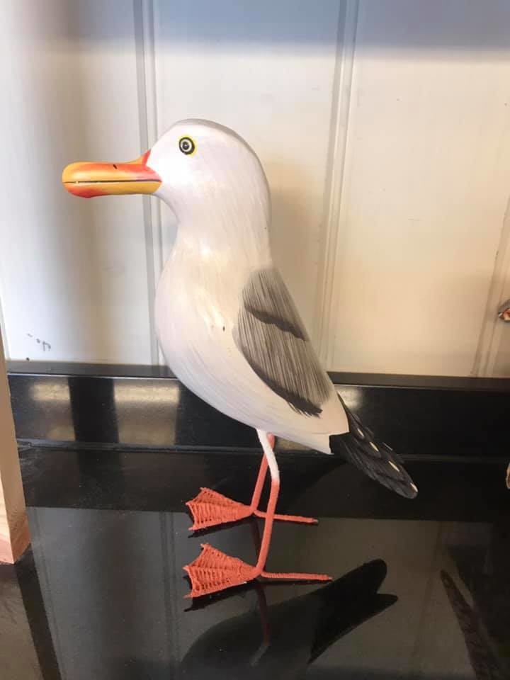 Seagull