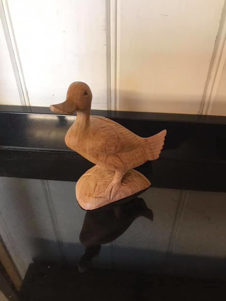 Duck Carving