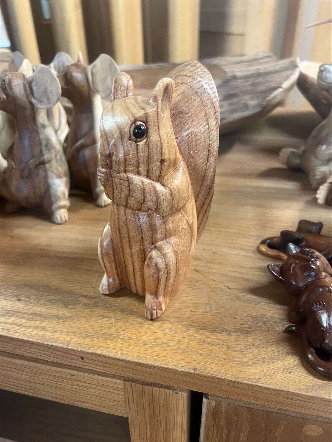 Squirrel
