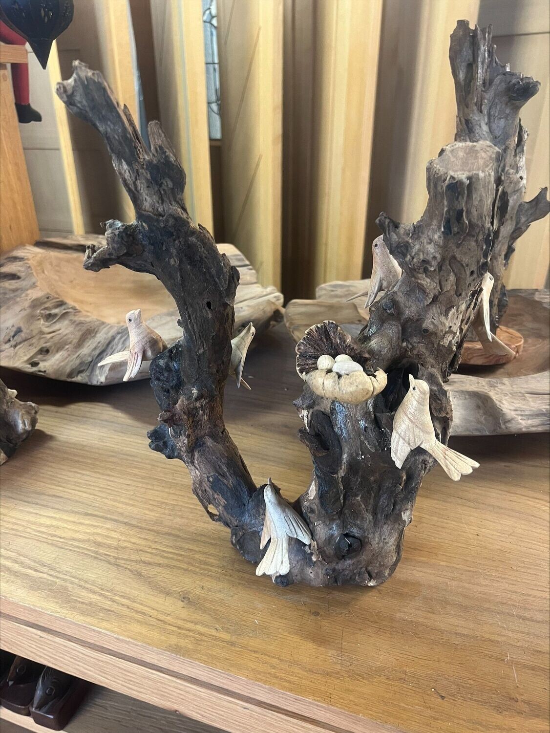 Birds