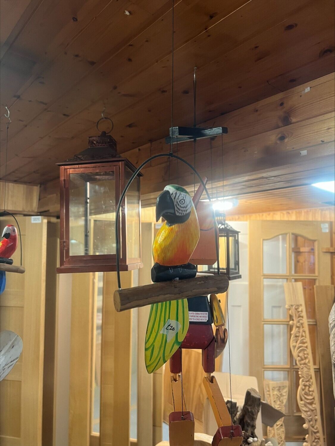 Parrot