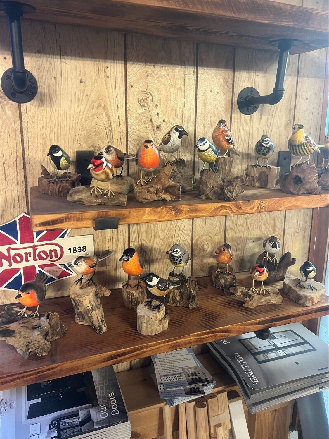 Birds