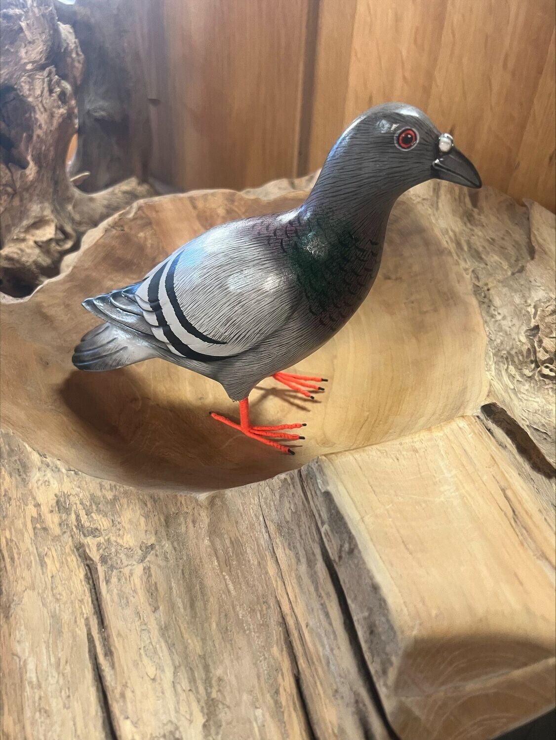 Pigeon