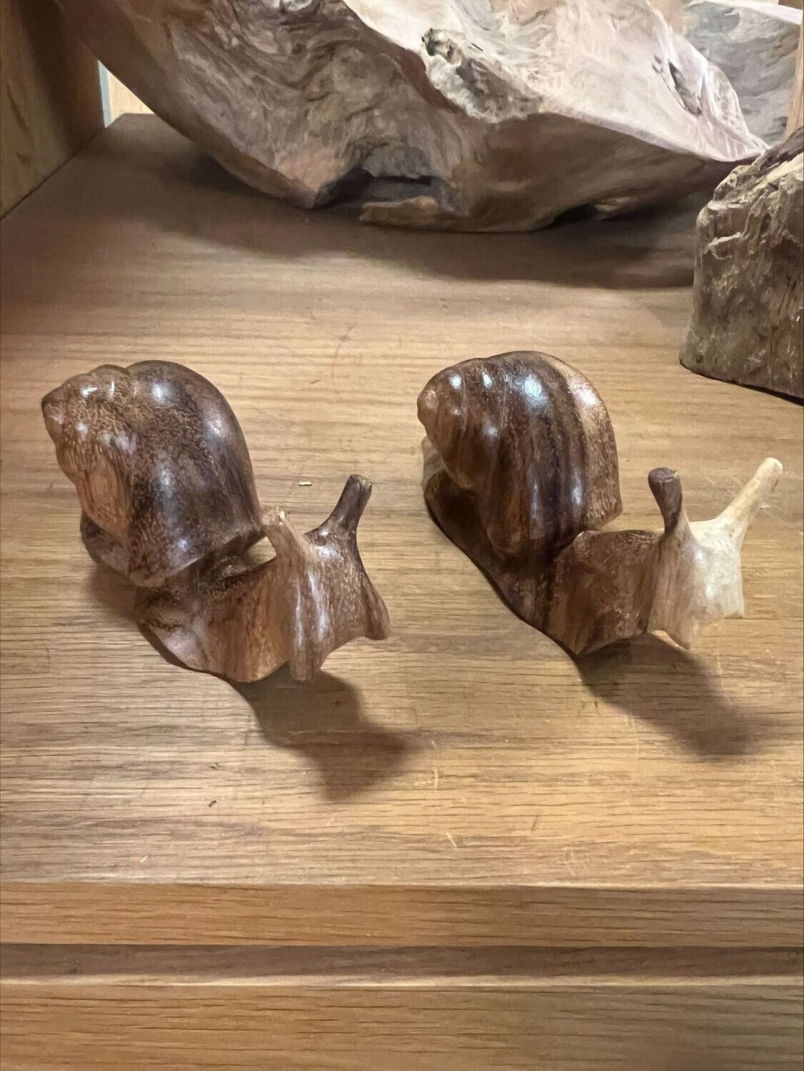 Snail
