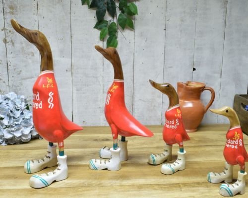 Liverpool Ducks