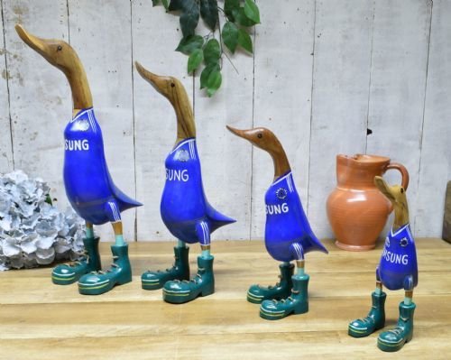 Chelsea Ducks