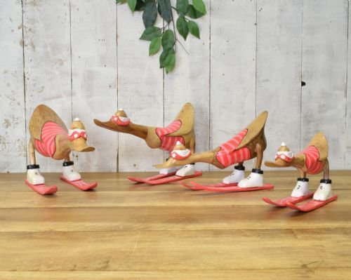 Skiing Ducks