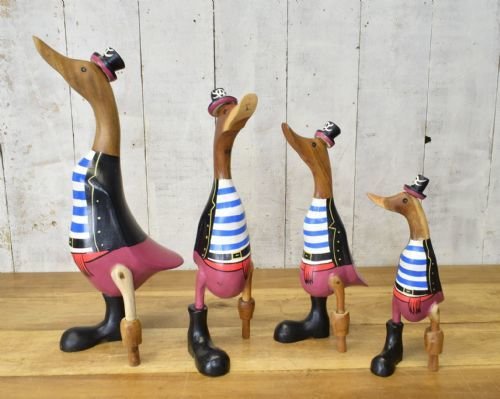 Pirate Ducks