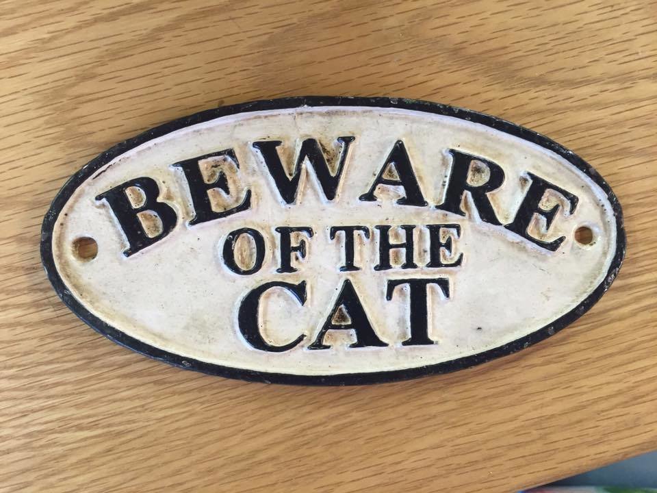 Beware Of The Cat Cast Plaque