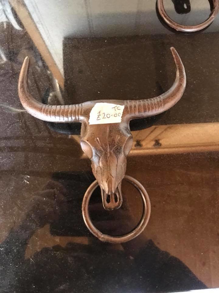 Desert Skull