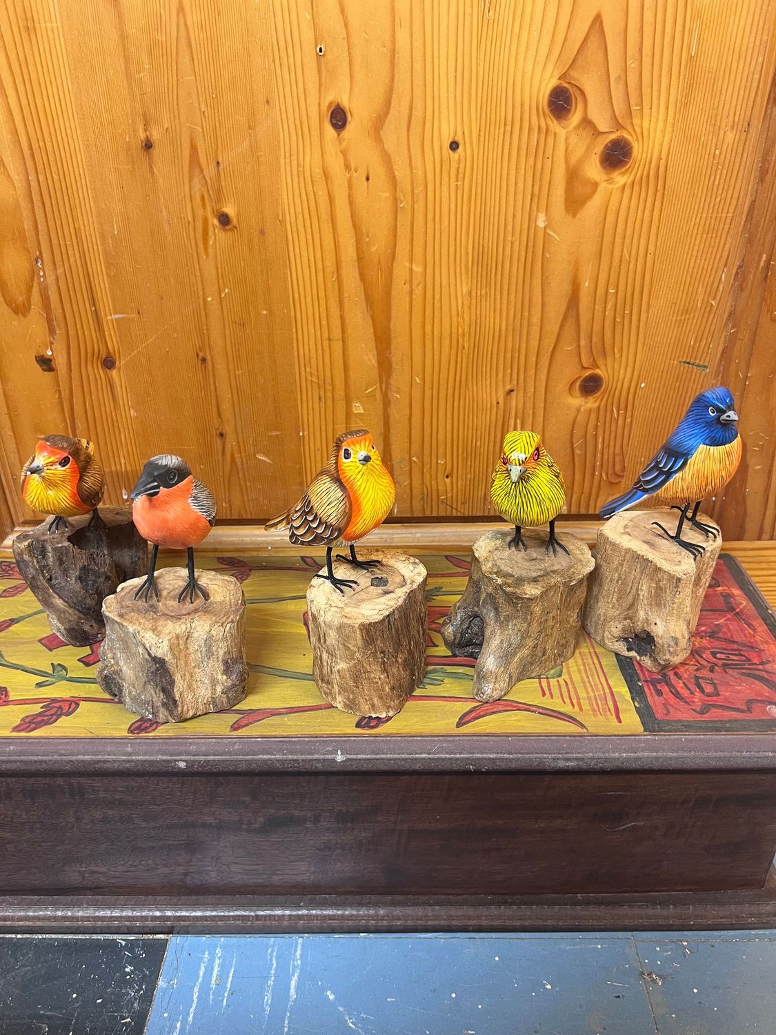 Birds