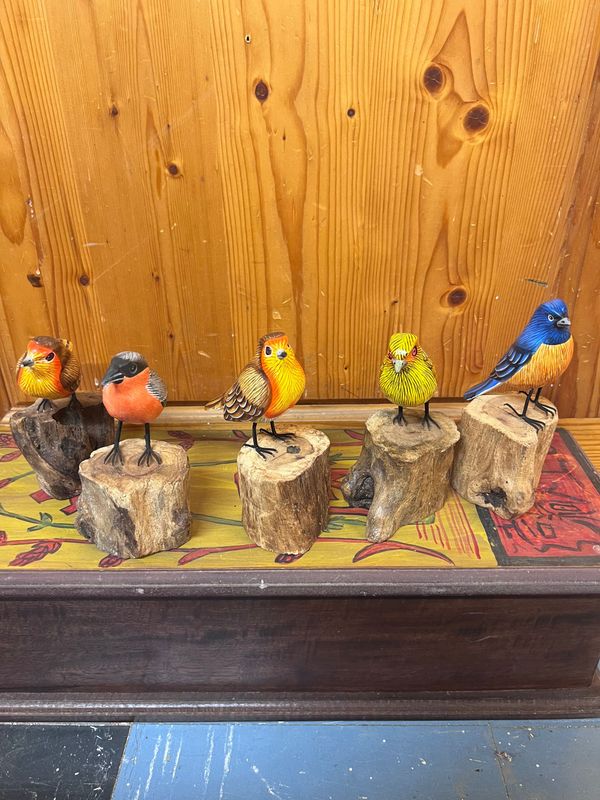 Birds