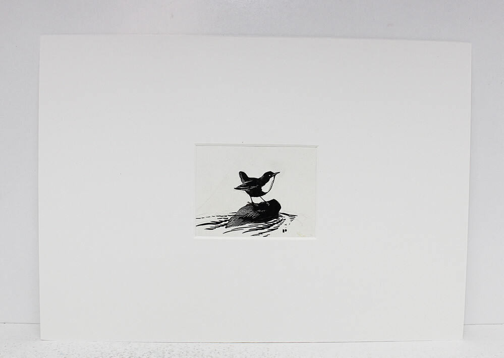 Vix The Story of a Fox Cub  Original Scraper Board Illustration - BB Deny Watkins Pitchford