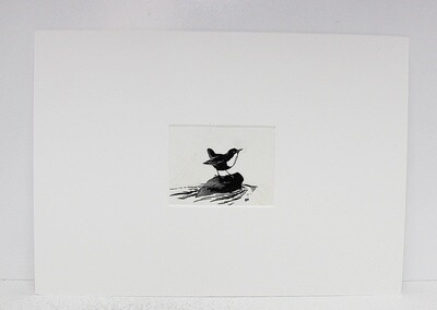 Vix The Story of a Fox Cub  Original Scraper Board Illustration - BB Deny Watkins Pitchford