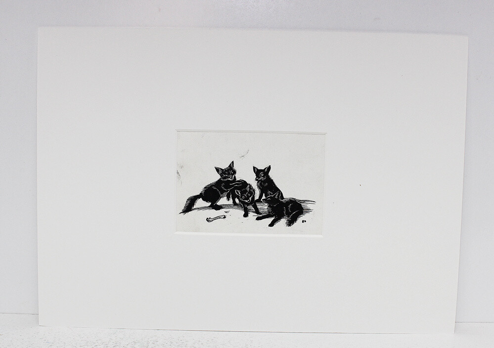 Vix The Story of a Fox Cub  Original Scraper Board Illustration - BB Deny Watkins Pitchford
