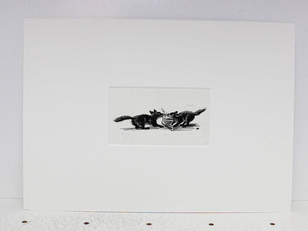 Vix The Story of a Fox Cub  Original Scraper Board Illustration - BB Deny Watkins Pitchford