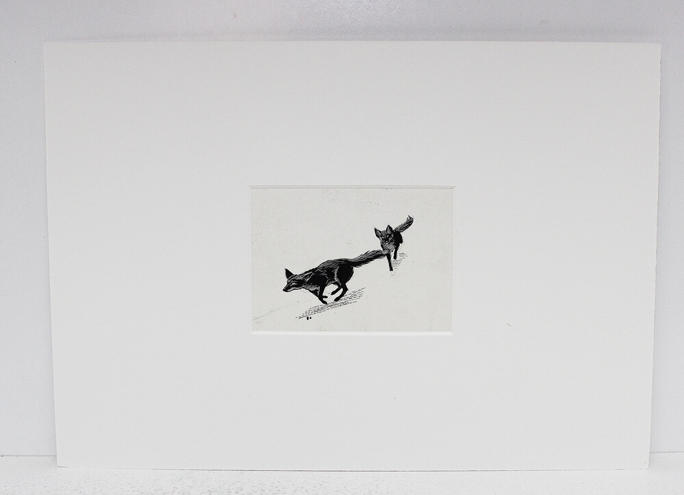 Vix The Story of a Fox Cub  Original Scraper Board Illustration - BB Deny Watkins Pitchford