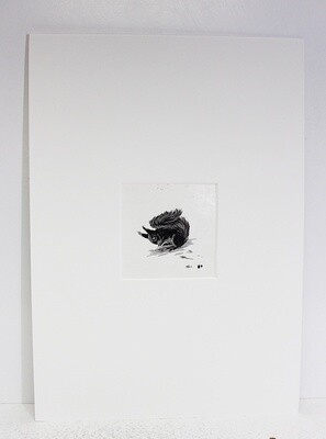 Vix The Story of a Fox Cub  Original Scraper Board Illustration - BB Deny Watkins Pitchford