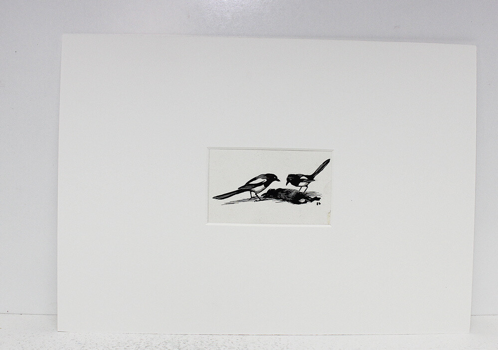 Vix The Story of a Fox Cub  Original Scraper Board Illustration - BB Deny Watkins Pitchford