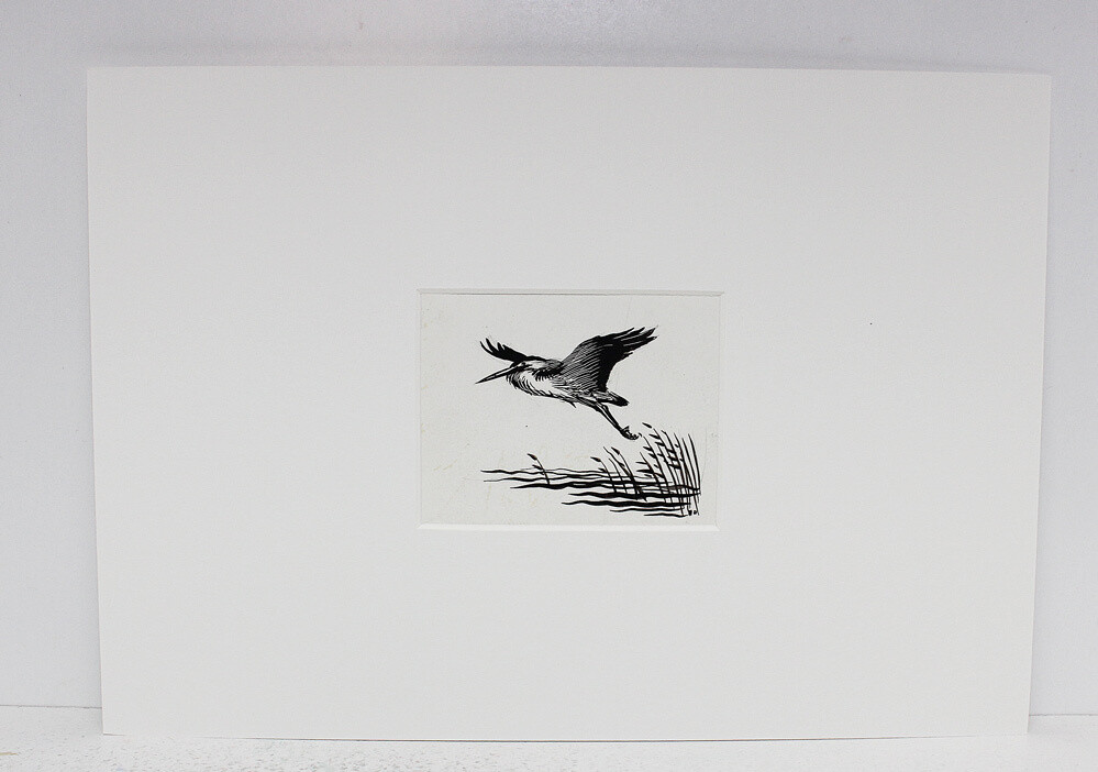 The Birds of a Lonely Lake  Original Scraper Board Illustration - BB Deny Watkins Pitchford