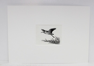 The Birds of a Lonely Lake  Original Scraper Board Illustration - BB Deny Watkins Pitchford