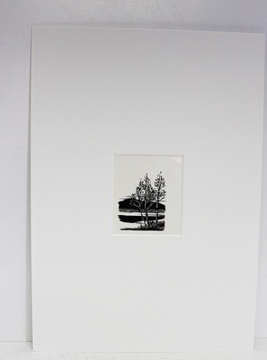 The Birds of a Lonely Lake  Original Scraper Board Illustration - BB Deny Watkins Pitchford