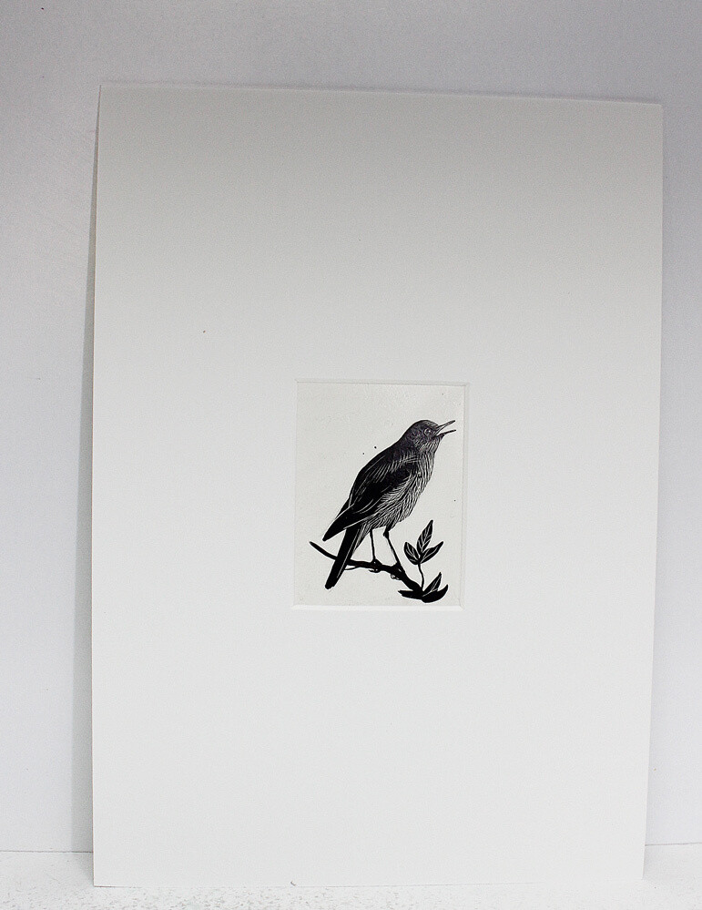 The Birds of a Lonely Lake  Original Scraper Board Illustration - BB Deny Watkins Pitchford