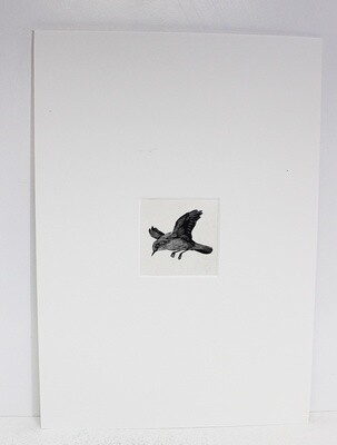 The Birds of a Lonely Lake  Original Scraper Board Illustration - BB Deny Watkins Pitchford