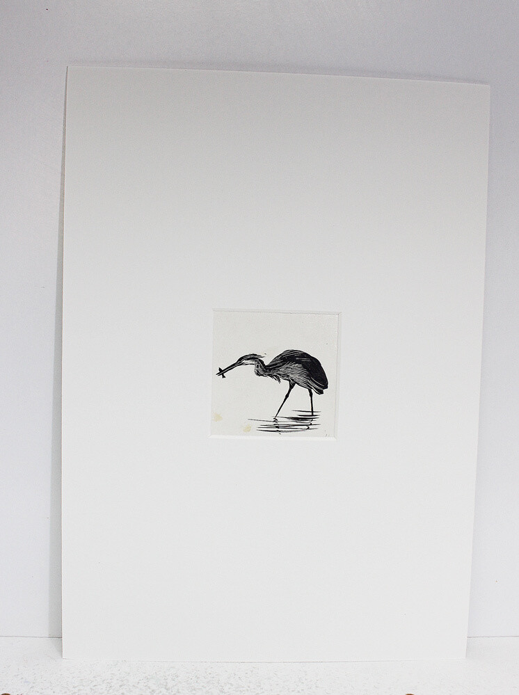 The Birds of a Lonely Lake  Original Scraper Board Illustration - BB Deny Watkins Pitchford