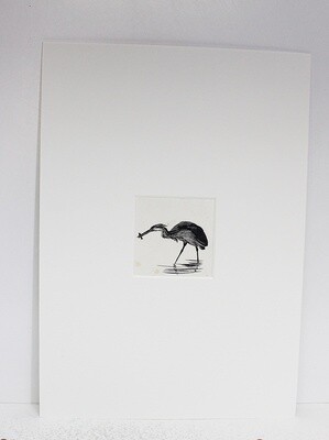 The Birds of a Lonely Lake  Original Scraper Board Illustration - BB Deny Watkins Pitchford