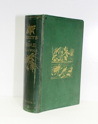 Insects At Home: Being A Popular Account Of British Insects, Their Structure, Habits And Transformations - From the Library of Henry Williamson - Rev J G Wood