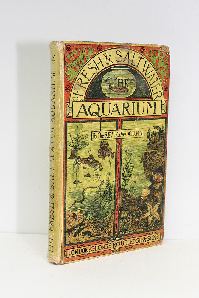 Fresh and Salt Water Aquarium - Rev J G Wood