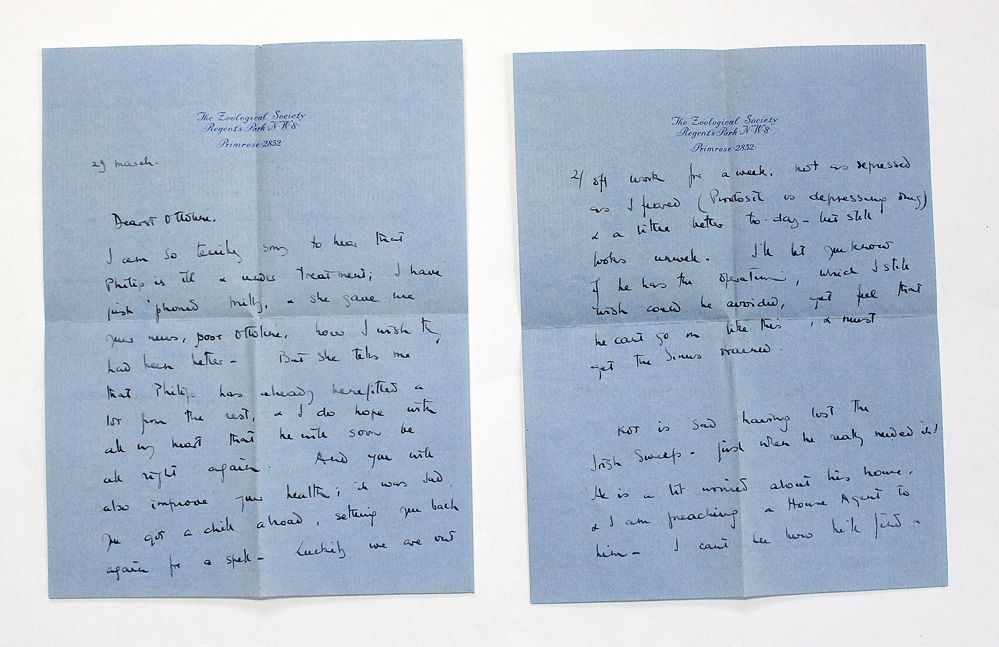 A Wonderful Original Handwritten and Signed Four-Sided Letter from Juliette Huxley to Ottoline Morrell