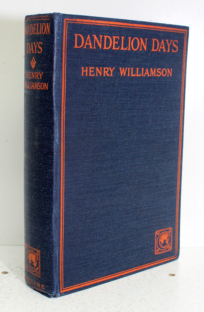 Dandelion Days - Henry Willamson