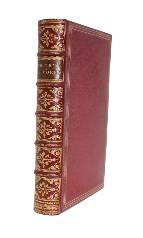 The Natural History and Antiquities of Selborne in the Country of Southampton. The Standard Edition by E.T. Bennett. Thoroughly revised, with additional Notes, by James Edmund Harting. - Gilbert White