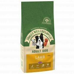James Wellbeloved Lamb Adult 2KG