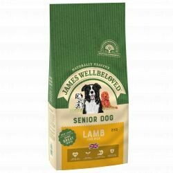 James Wellbeloved Lamb Senior 2KG