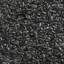 Black Sunflower Seeds 1KG