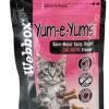 Webbox Yum-e-Yums Salmon 40g