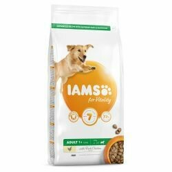 Iams Adult Large Dog Food 12KG