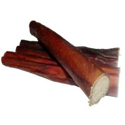 Bull&#39;s Pizzle 5&quot;-6&quot; approx