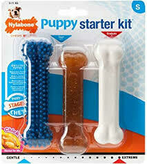 Nylabone Puppy Starter Kit (s)