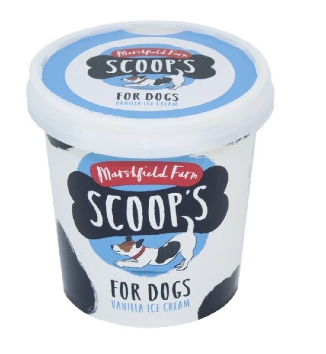 Scoops Doggy Ice Cream
