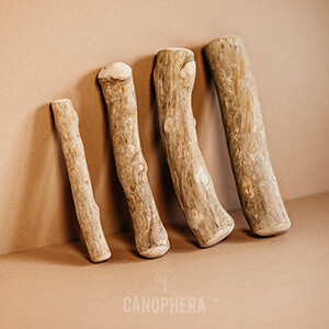 Canophera Coffee Wood