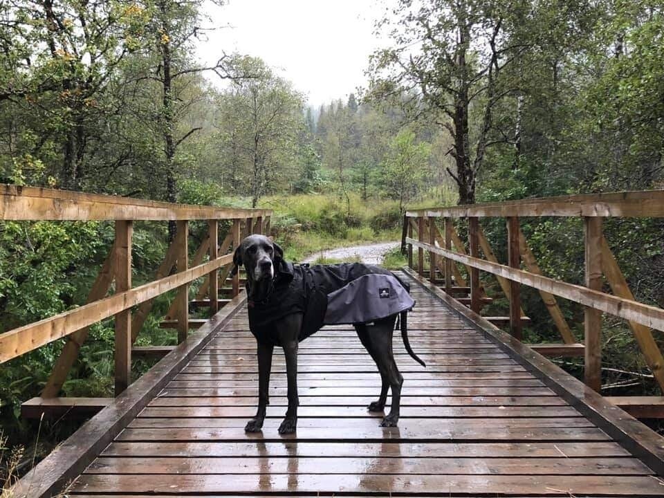 NEW - Fur Lined Waterproof Coat  &quot;ACTIVE&quot; (80/Female) 