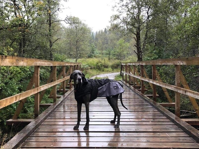 NEW - Fur Lined Waterproof Coat  &quot;ACTIVE&quot; (80/Female) 