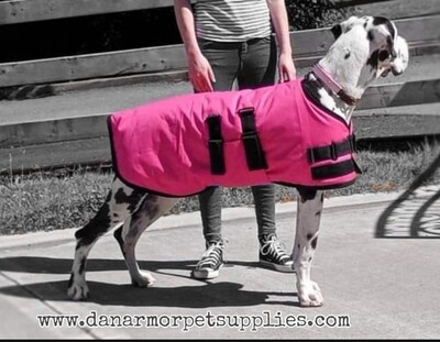 80cm Pink &amp; Black Trim (Female)