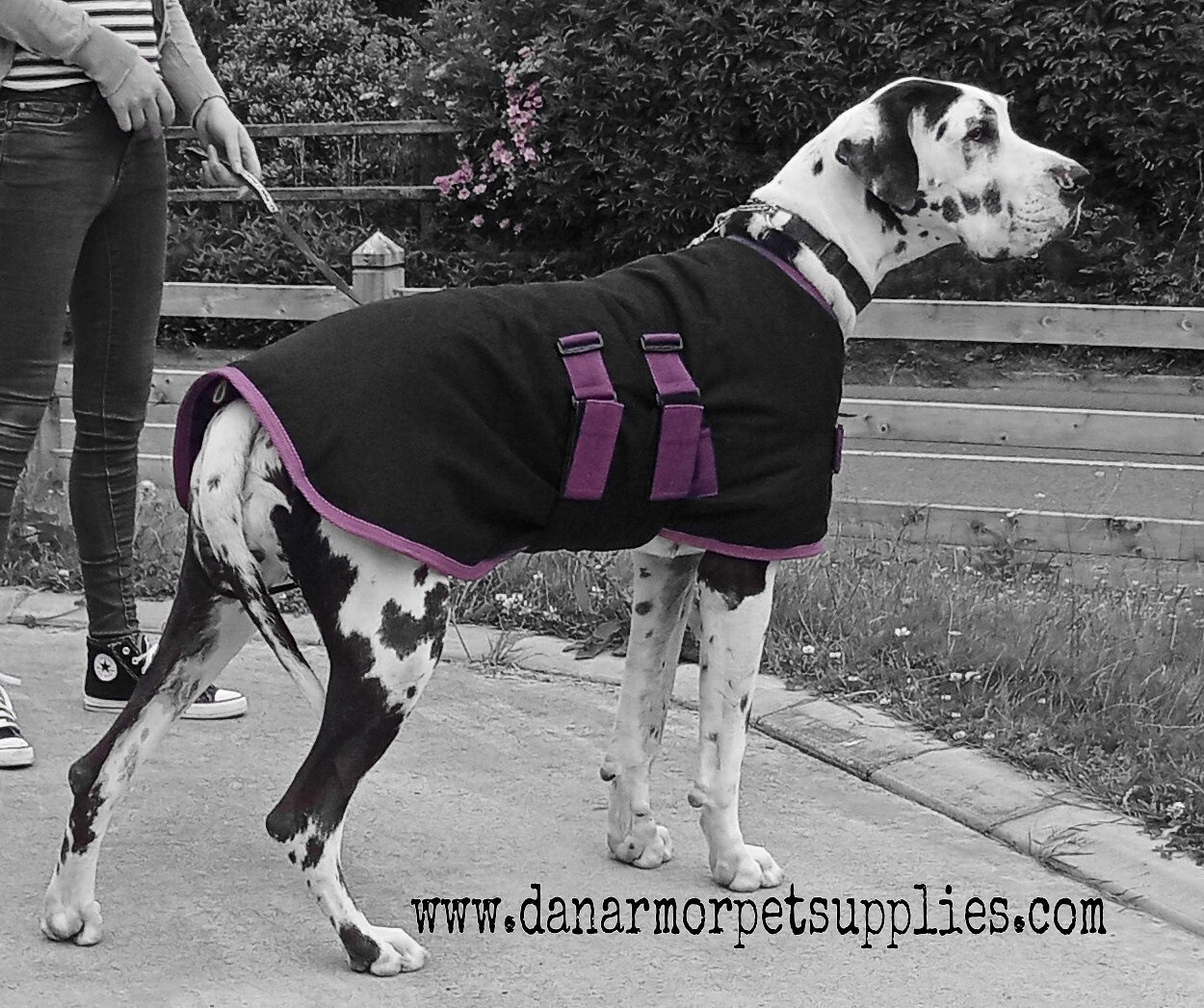 85cm dog coats top