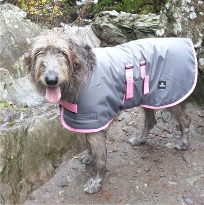 90cm steel Grey &amp; Pink Trim (Wolfhound ADULT Female)